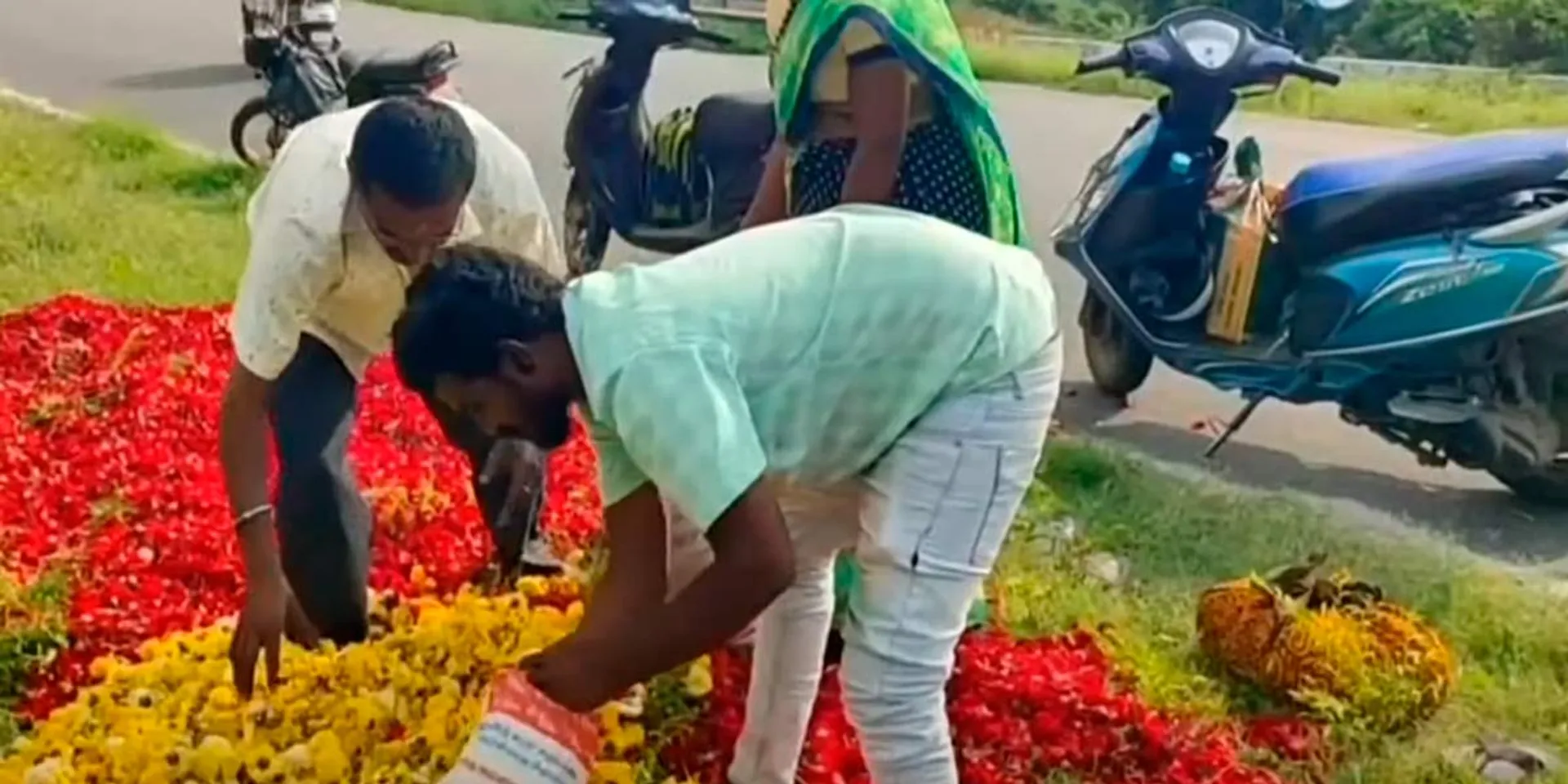 Flowers dumped on the road due to falling prices; People who were carried away