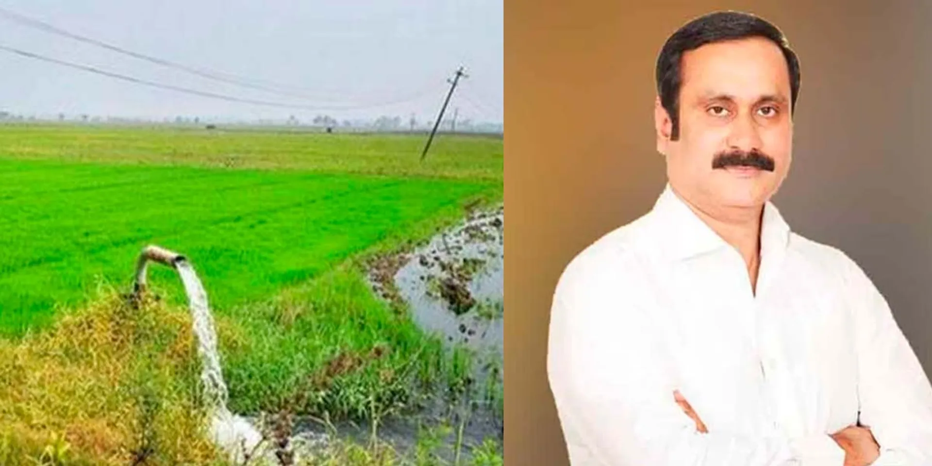 'Release paddy arrears for temple farms'-Pmk Anbumani urges