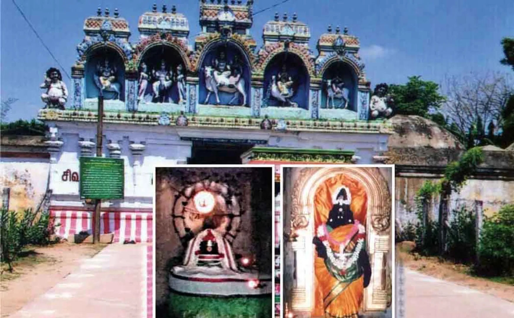  Sembanar temple with pure life!