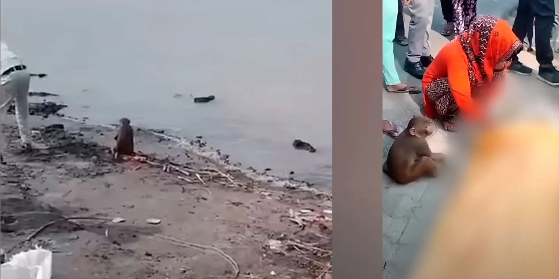  Resilience leading up to the funeral; monkey incident