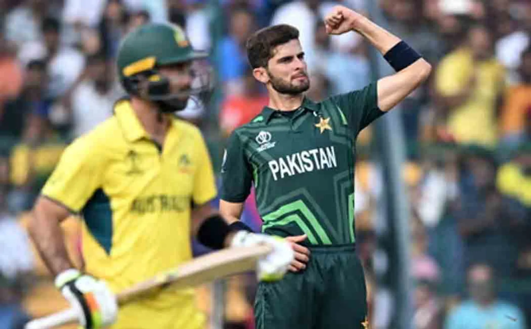 Australia set a target of 368 runs for Pakistan