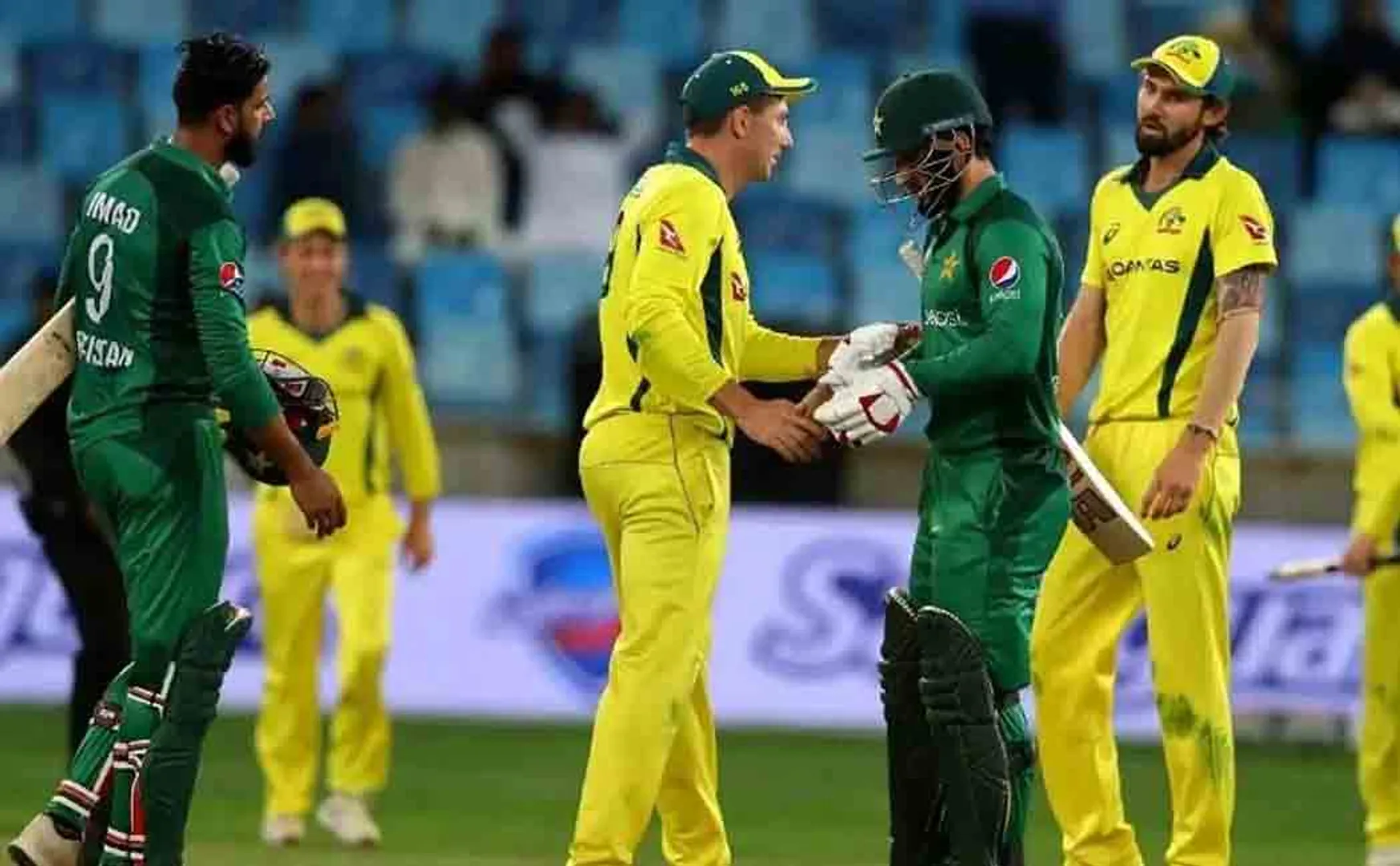 Australian team beat Pakistan in Cricket World Cup;
