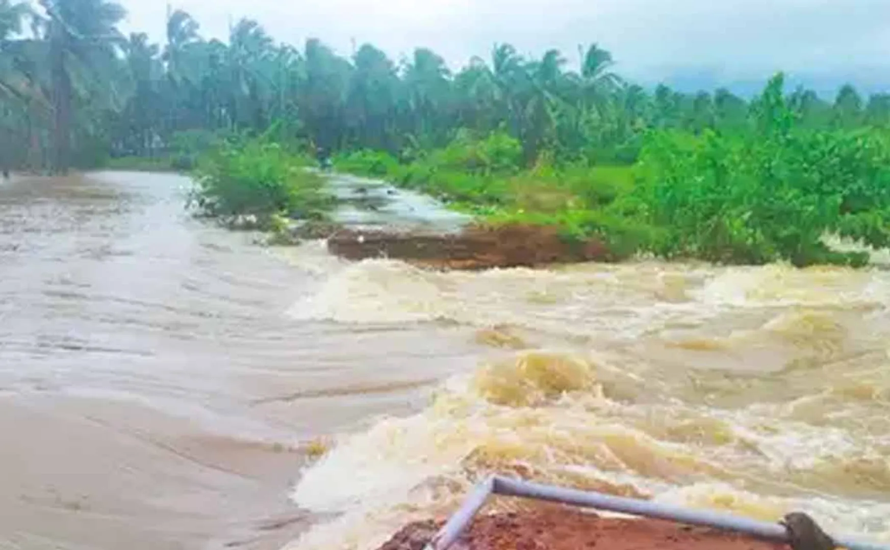 Heavy rain in Kumari! The canal broke and flooded!