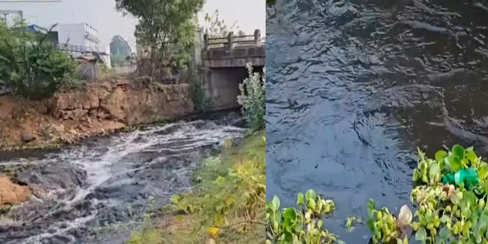 A river of life troubled by sewage; Dark thamirabharani water