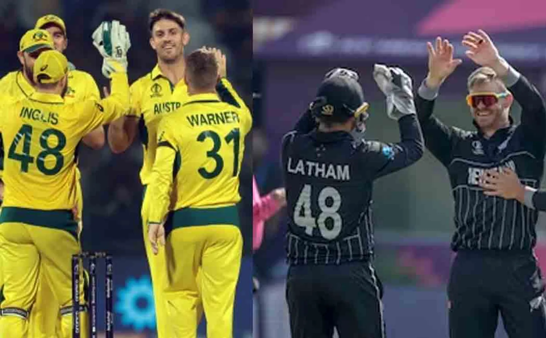389 runs target for New Zealand in World Cup Cricket