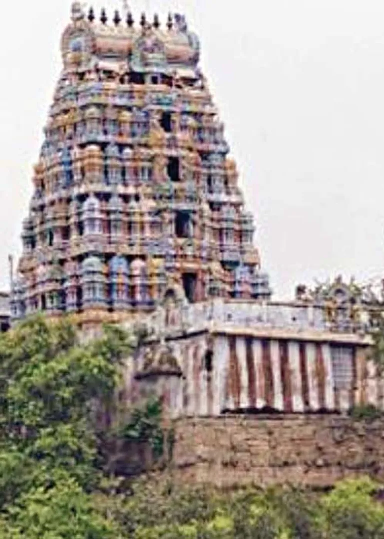 /idhalgal/balajothidam/healing-temple-vishu-iyer-11