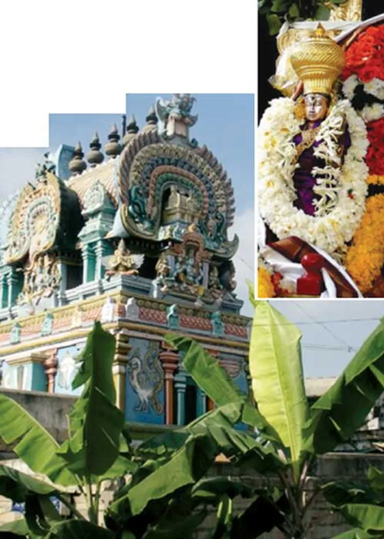 /idhalgal/balajothidam/healing-temple-vishu-iyer-12