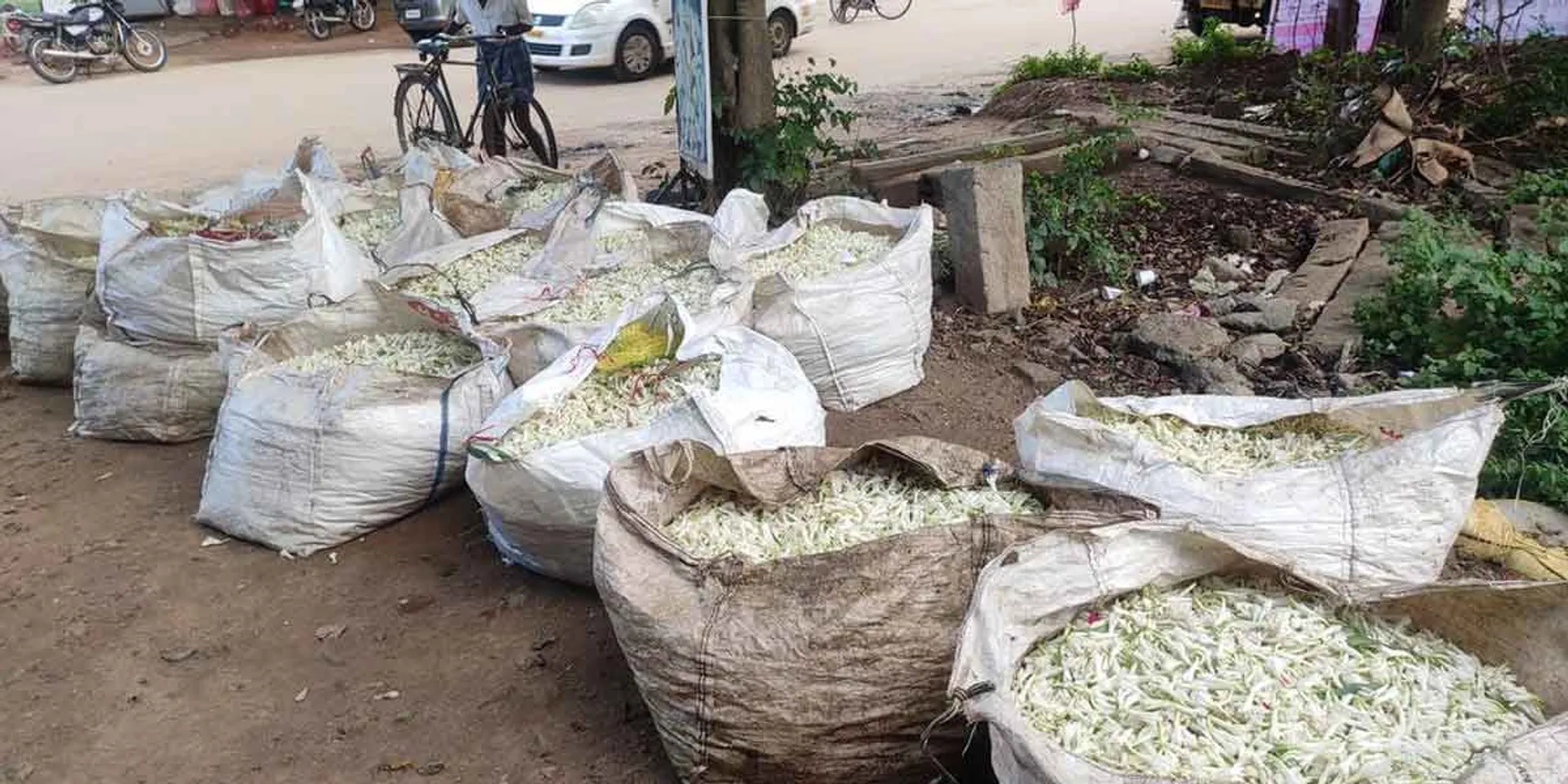 How will our life smell if so much goes to waste - Flower farmers in agony