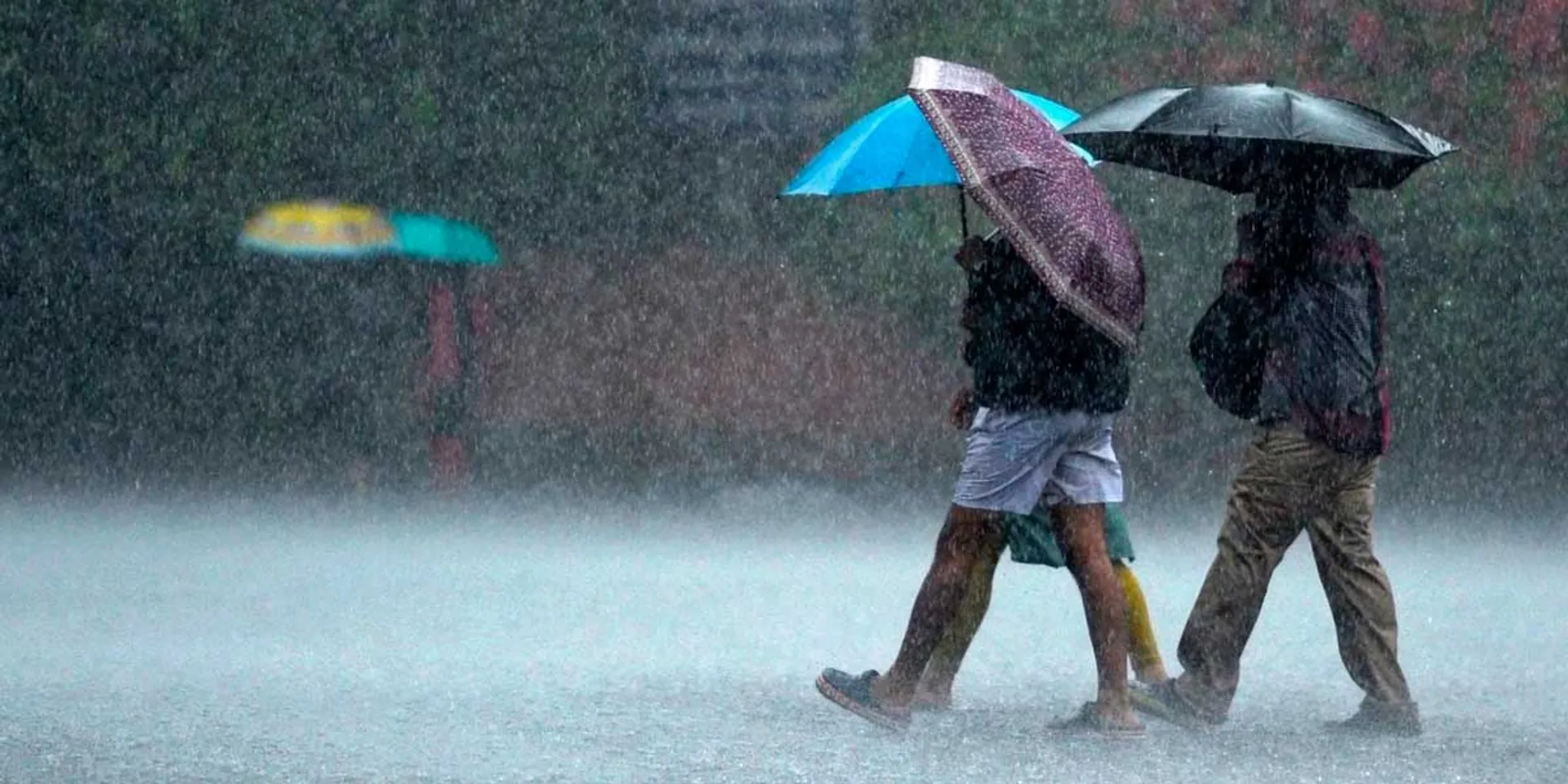 Very heavy rain warning for 5 districts