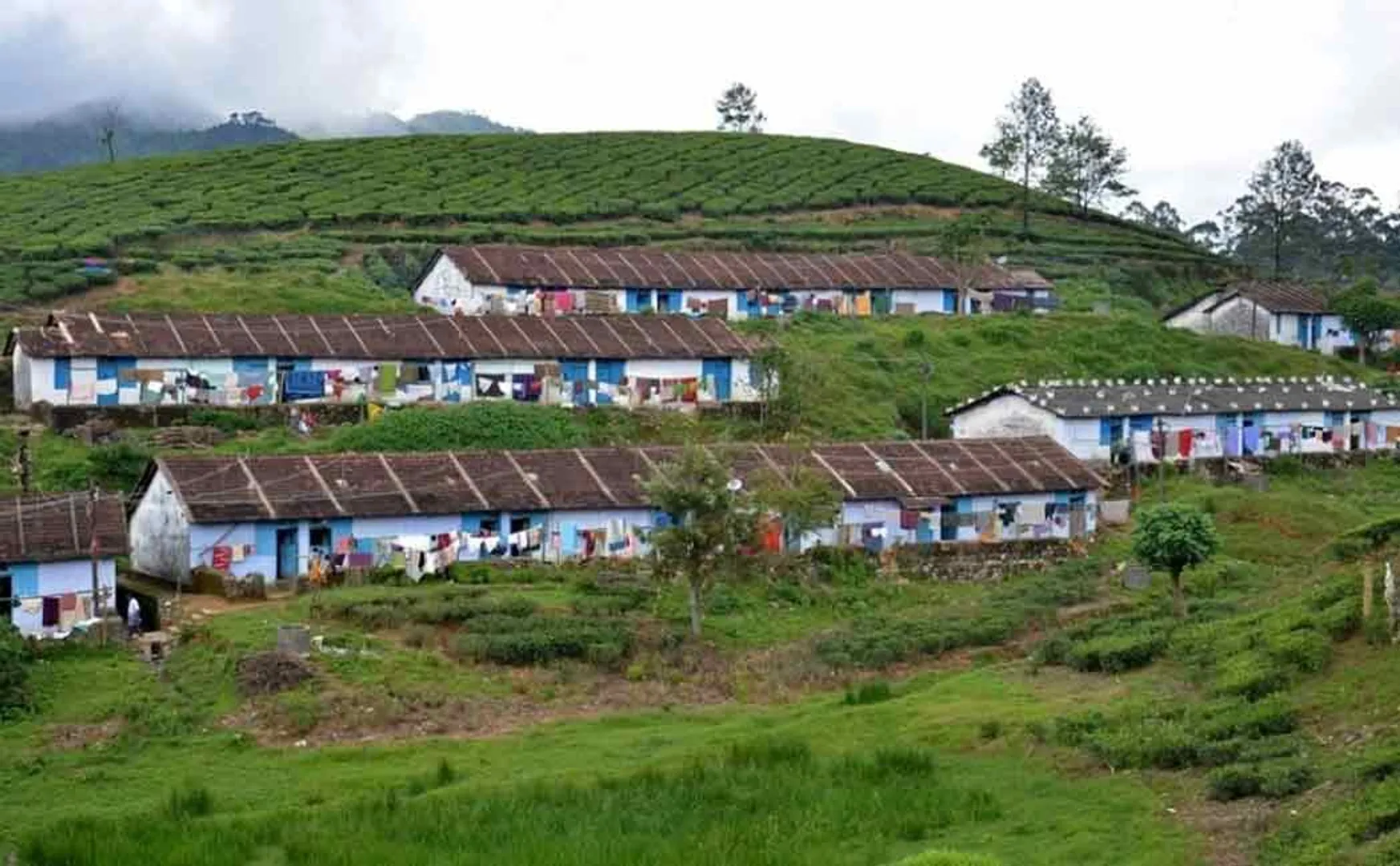 Mancholai incident 