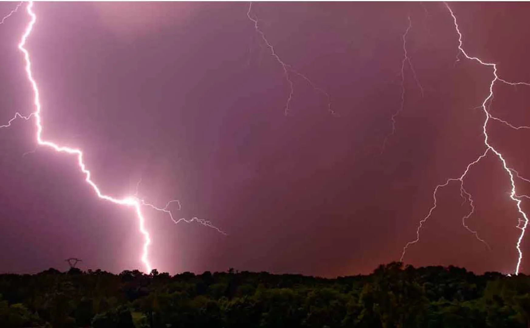 16 lives were lost simultaneously in the lightning strike