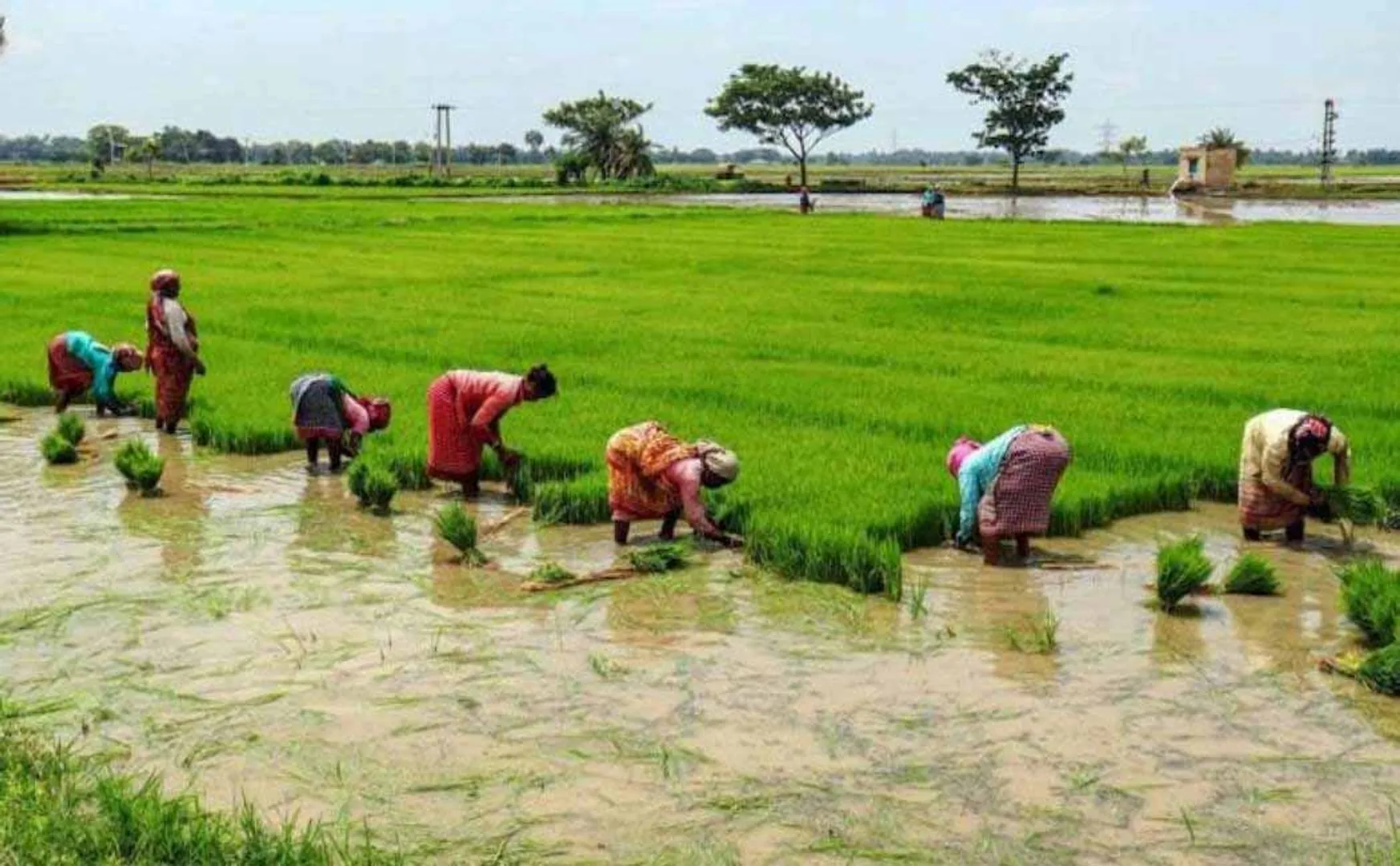 Extension of time for crop insurance