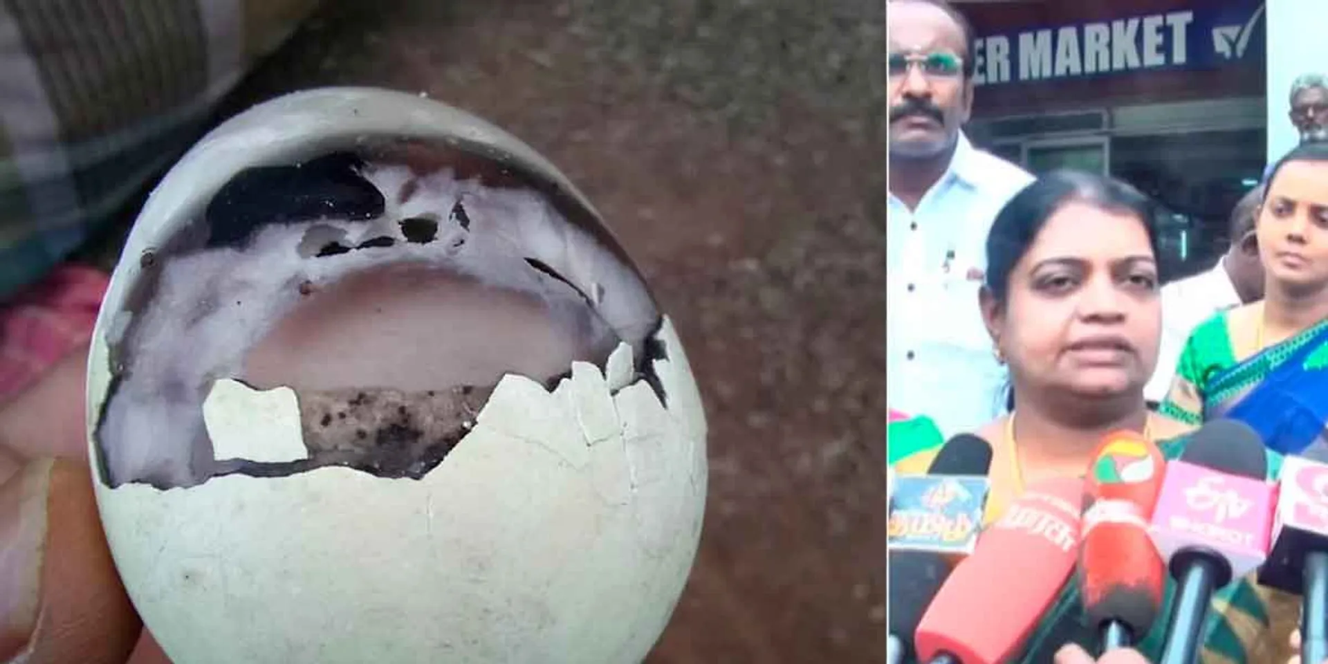  'Ink got soaked in the rain and landed on the egg' - Minister Geethajeevan's explanation