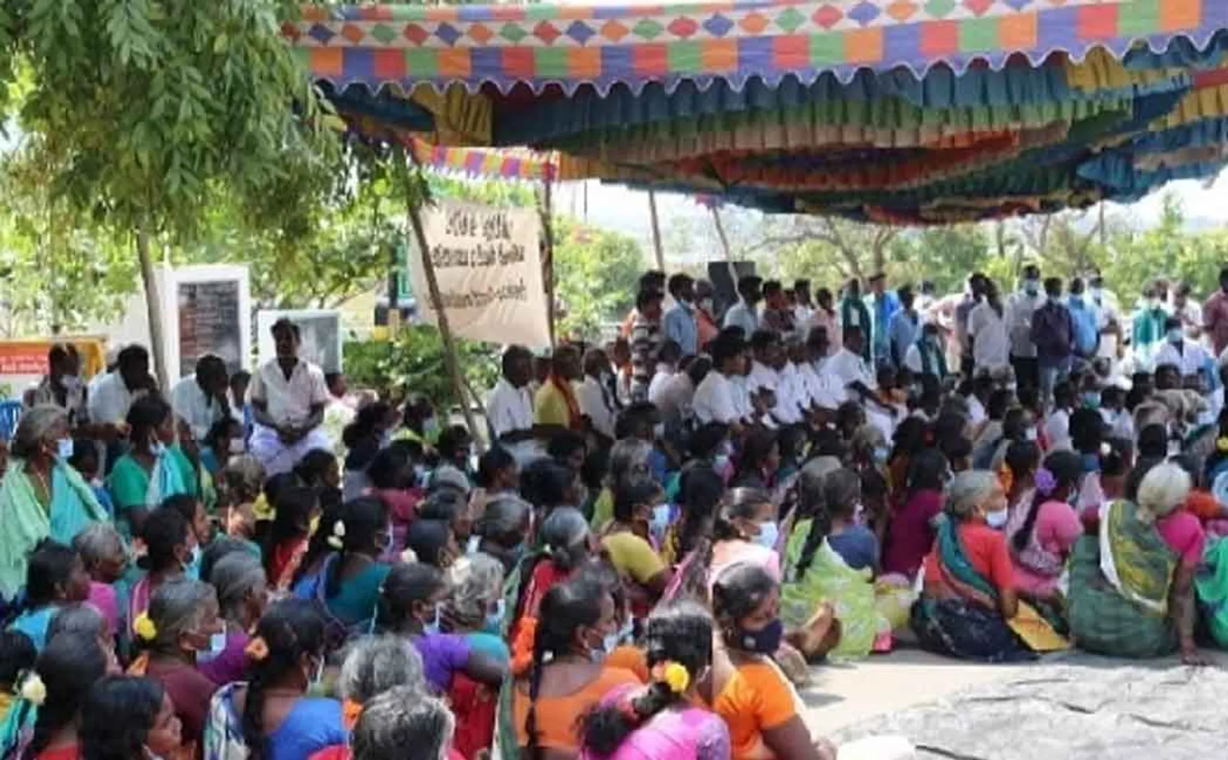 What happened in the Tiruvannamalai chipcat case?