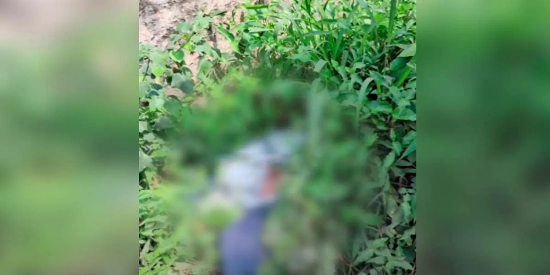 A baby boy who was only a few hours old was thrown in the bush