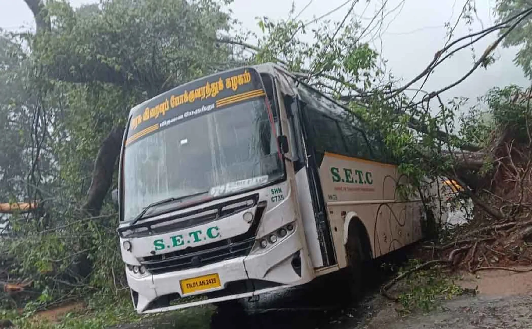 A giant tree fell on the bus!