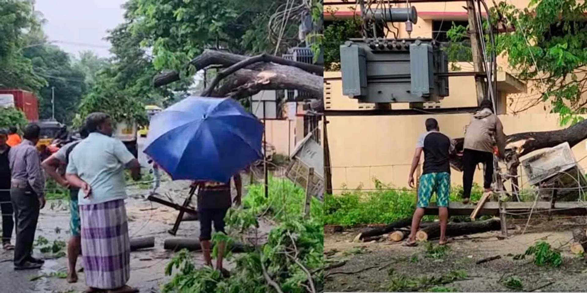 Heavy rain with wind; Leaning tree on the road
