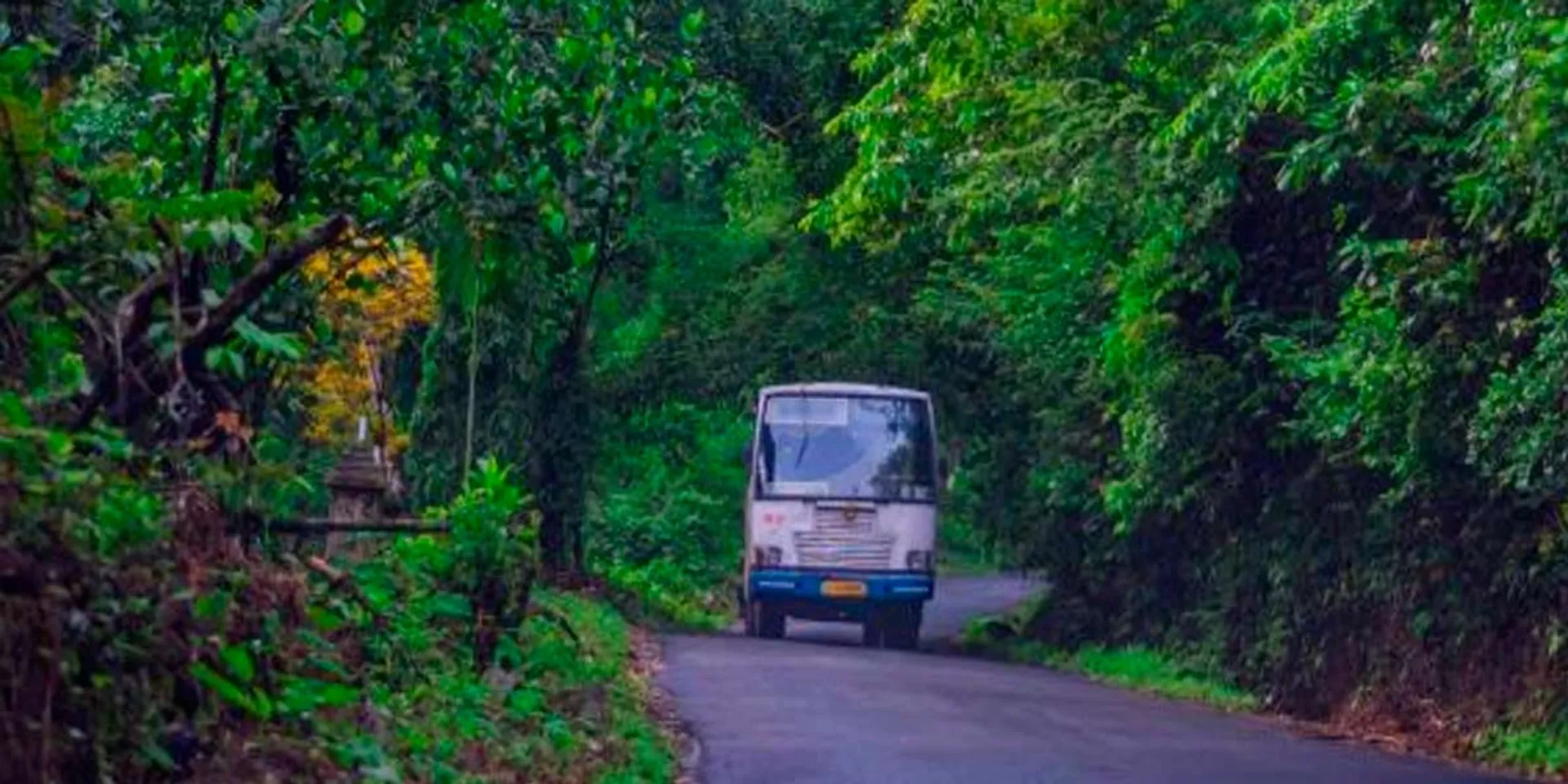 Police slapped; at woman who fed baby milk on bus