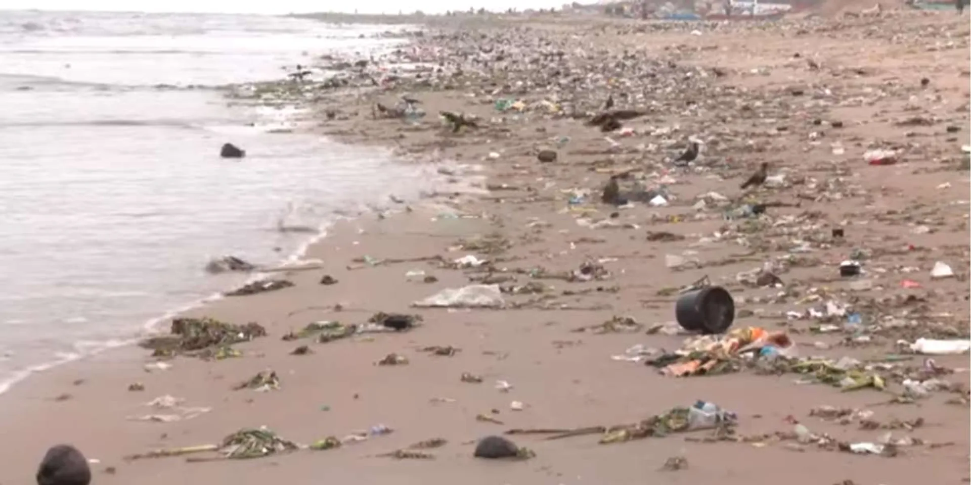  continuous rain; Marina, the garbage dump