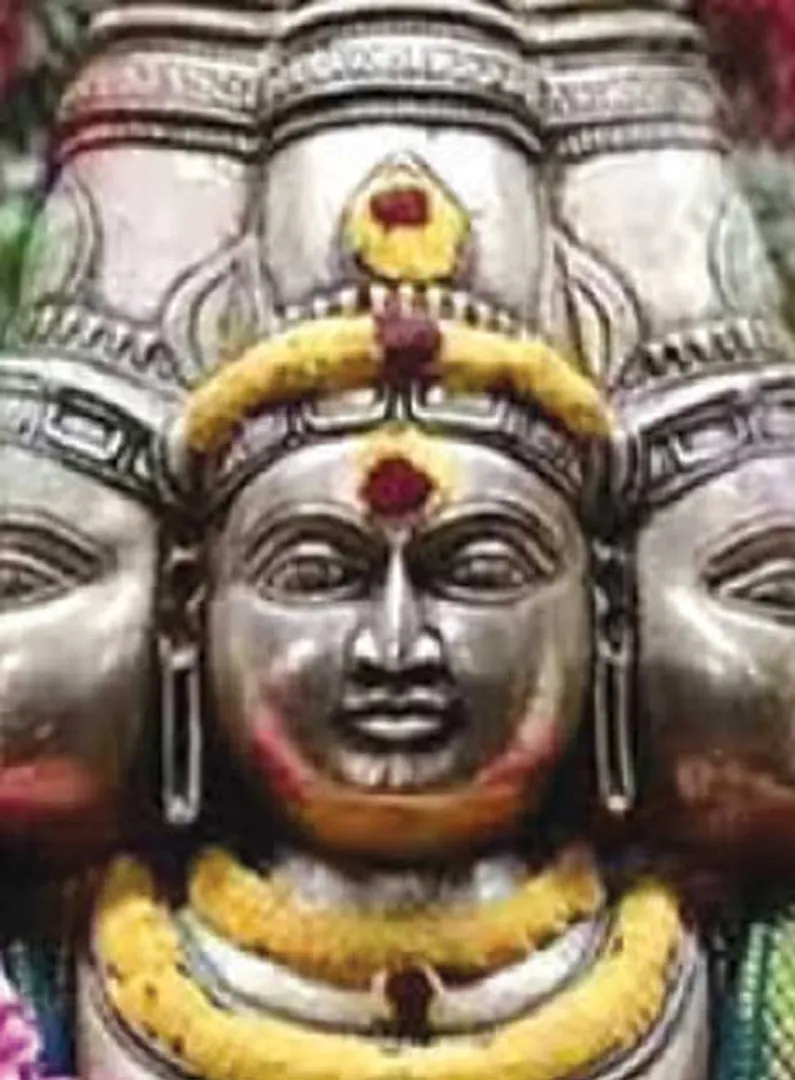 /idhalgal/balajothidam/sewvarali-flower-remedy-solve-debt-problem-b-balajiganesh
