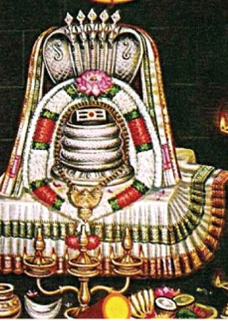 /idhalgal/balajothidam/healing-temple-vishu-iyer-18