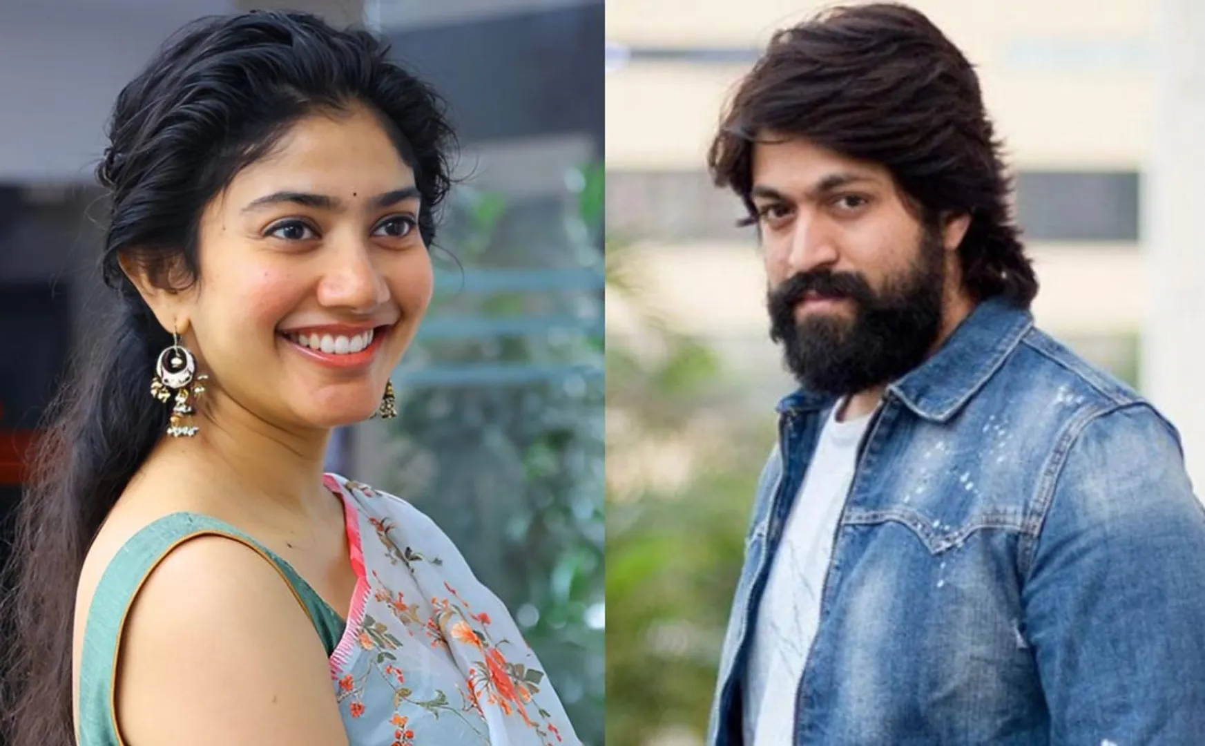 sai pallavi to act with yash next movie 