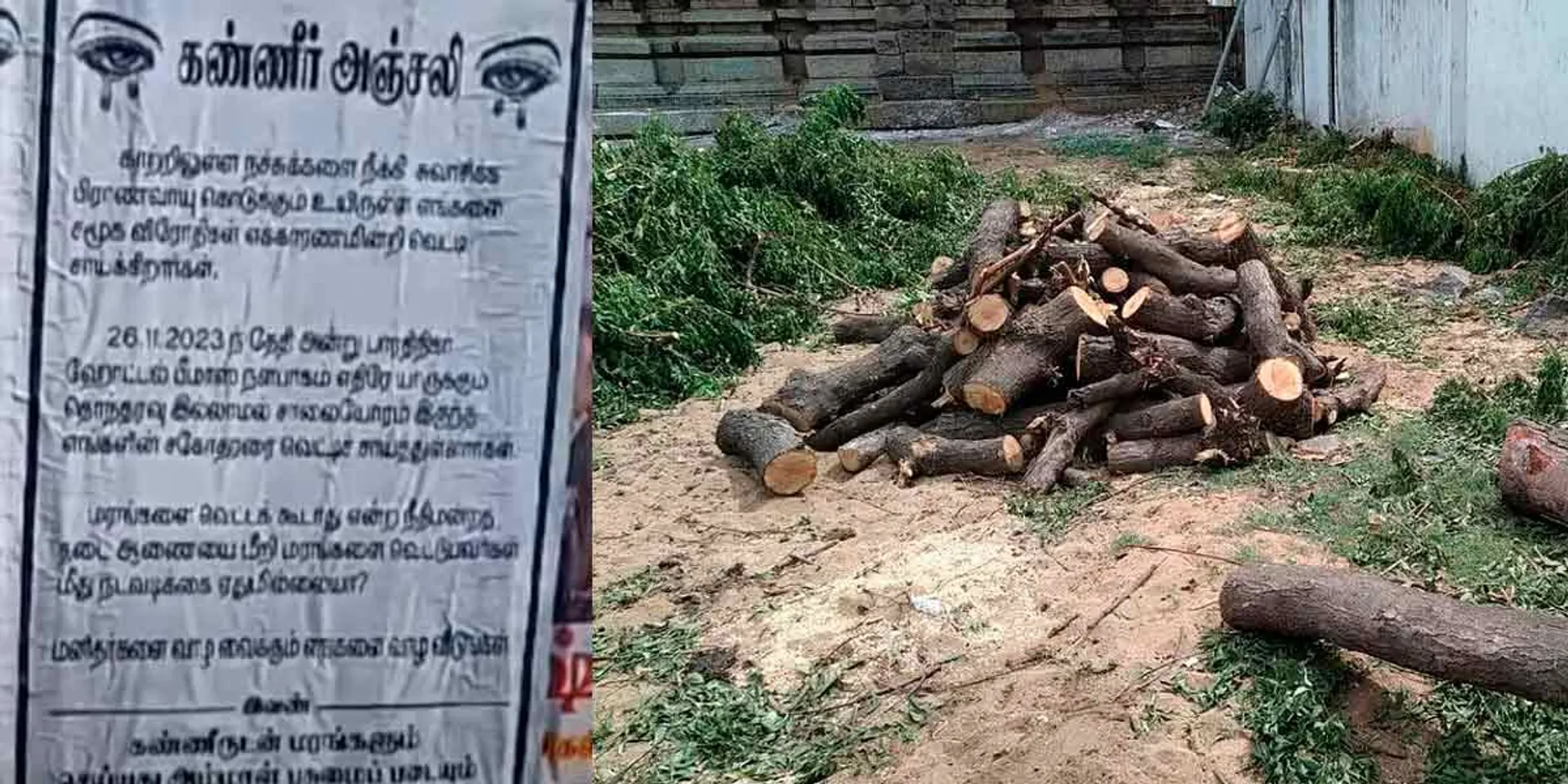  'Troubleless people have been cut down' - a tearful tribute poster pasted for trees