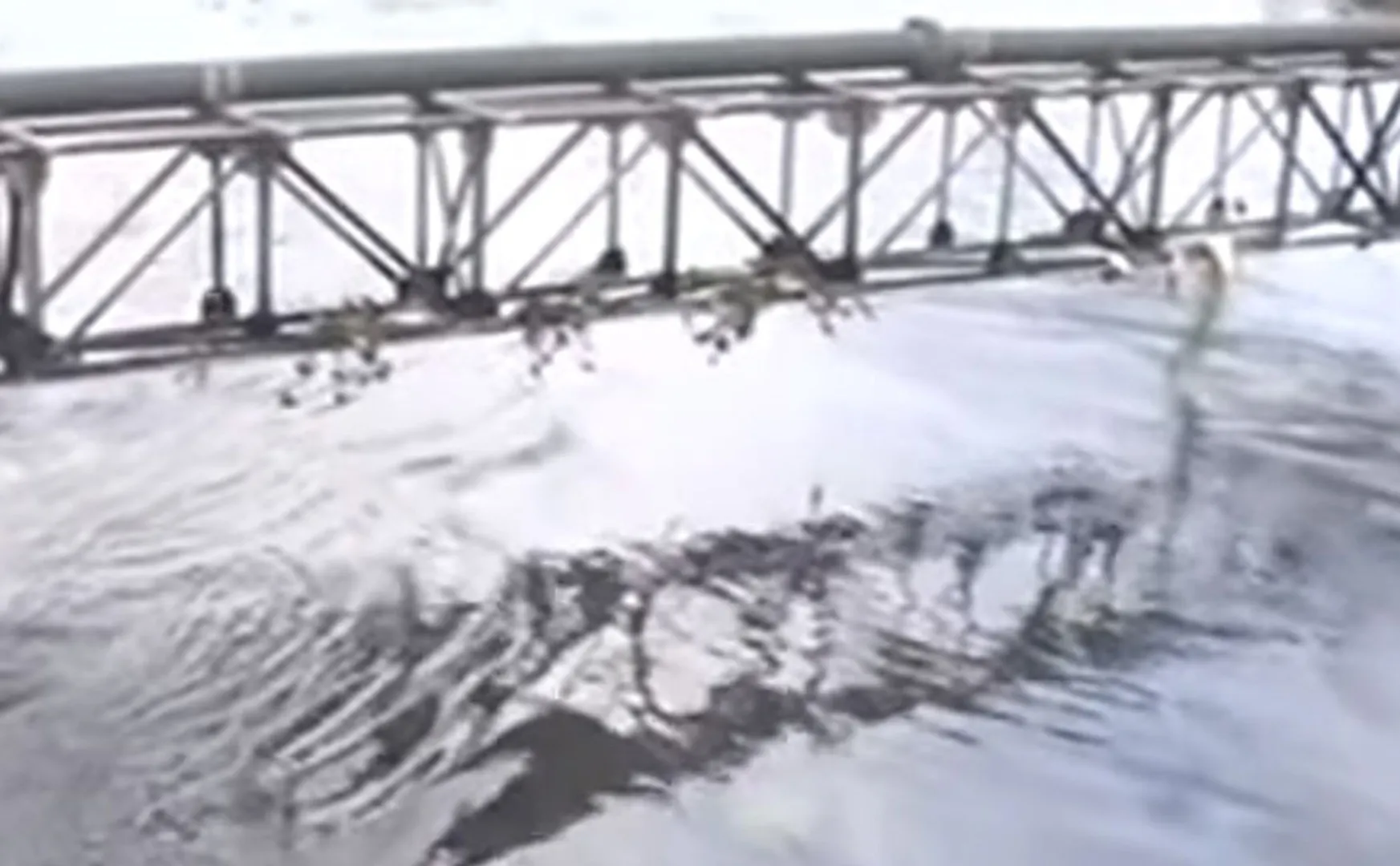 Crude Oil at Sea issue Green Tribunal Action Order