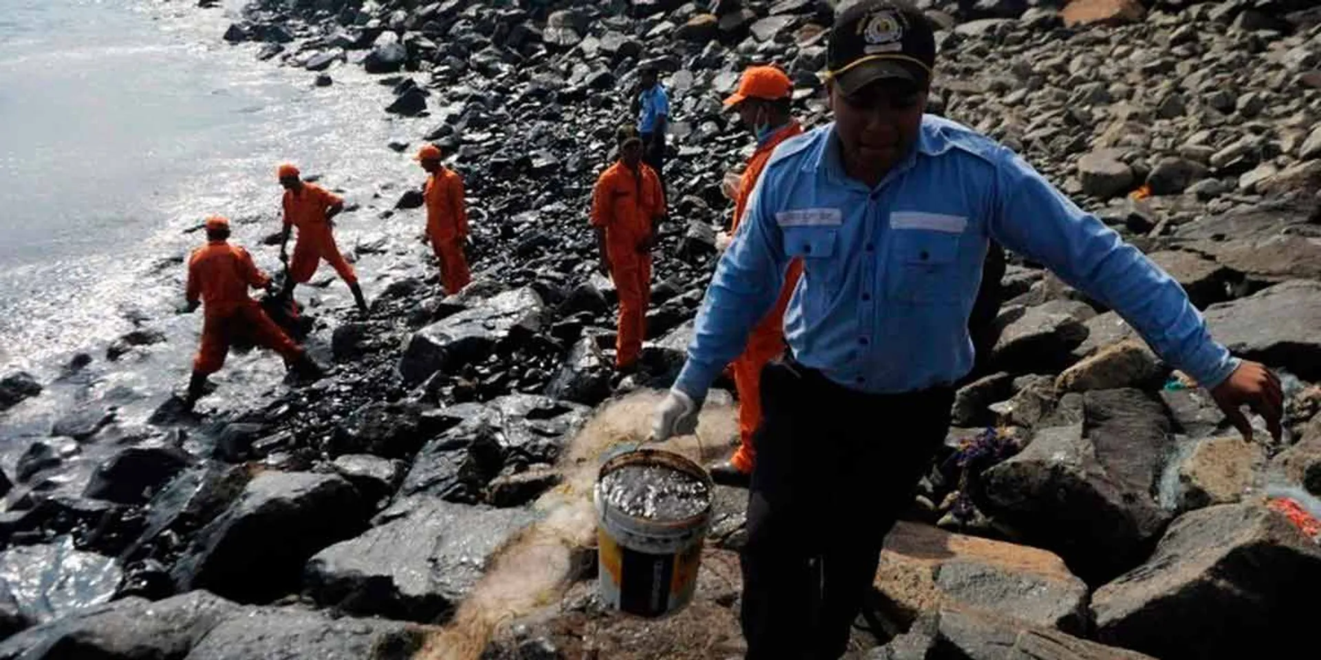 'Phenol, grease in Ennur Estuary'-Pollution Control Board releases shock report