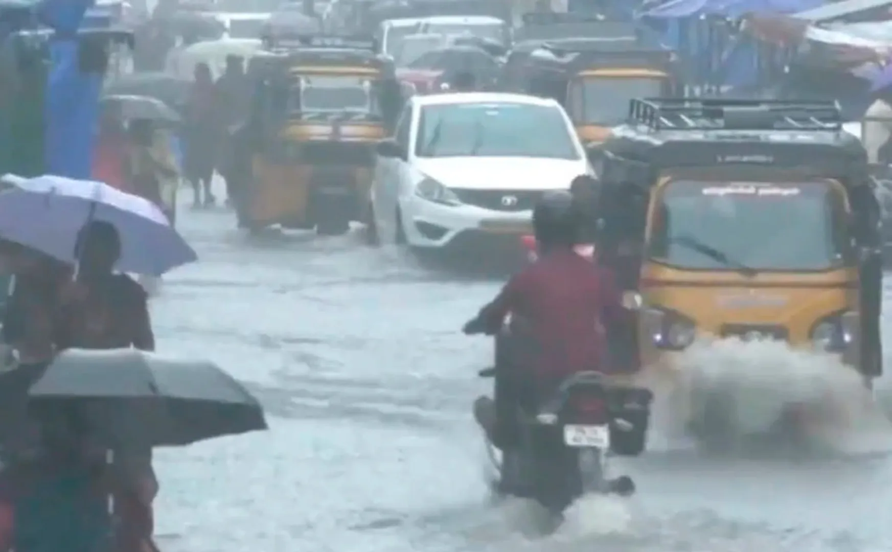 WhatsApp number to report rain damage; Tamil Nadu Government Notification