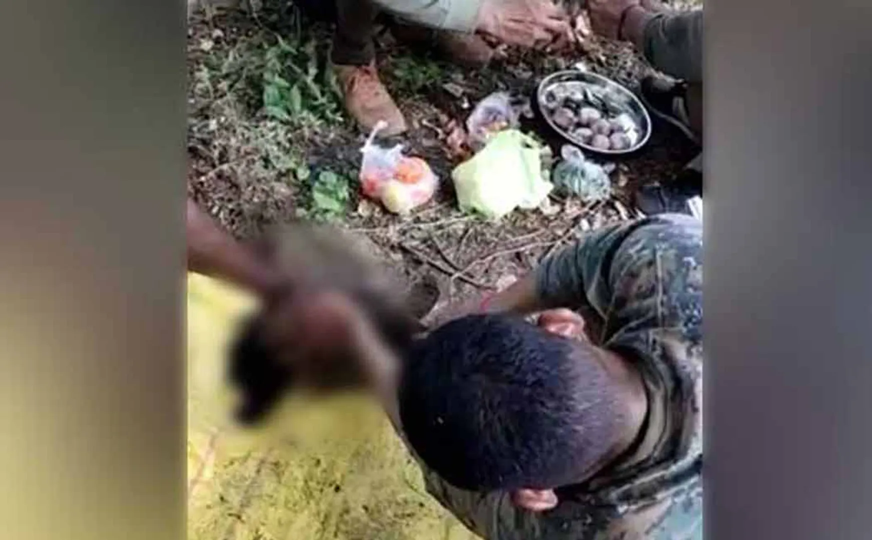 Rapid Response Force Police who cook and eat turtle curry