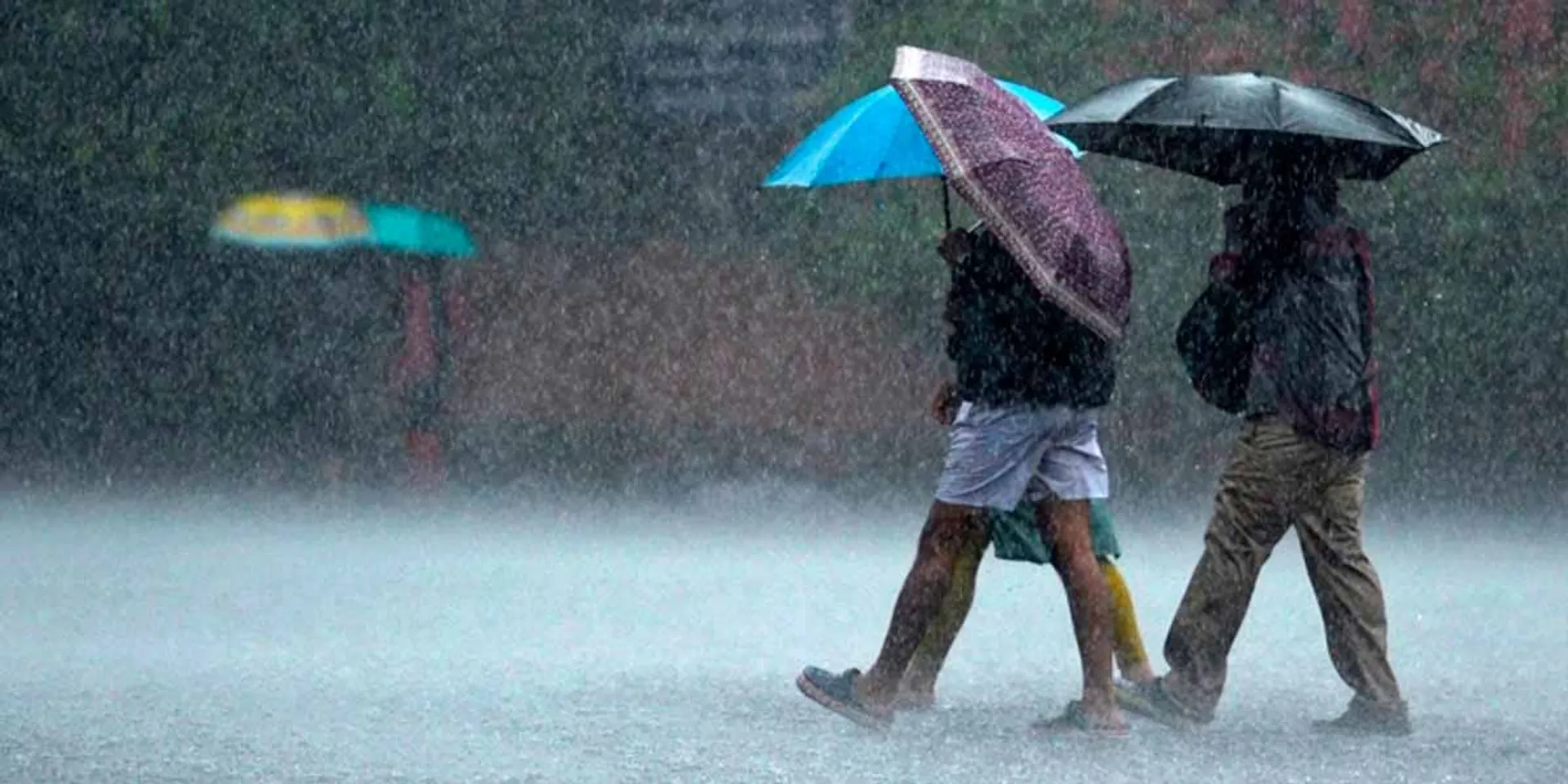 Continued rain; Status of dams