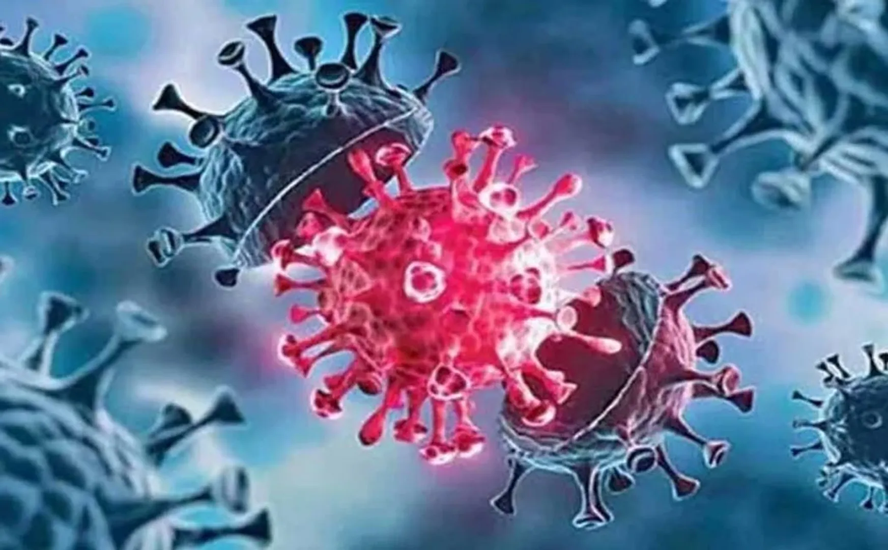 Threatening new type of corona virus  in kerala