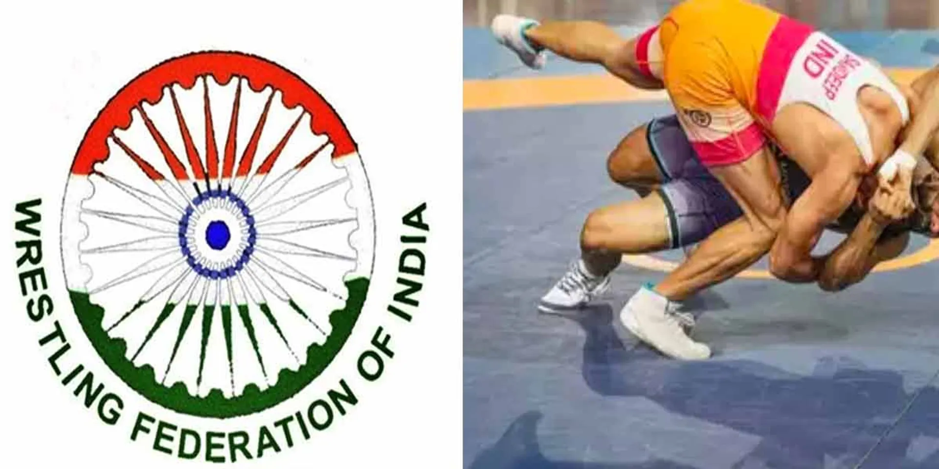 Wrestling Association of India Suspended- Central Govt Notification