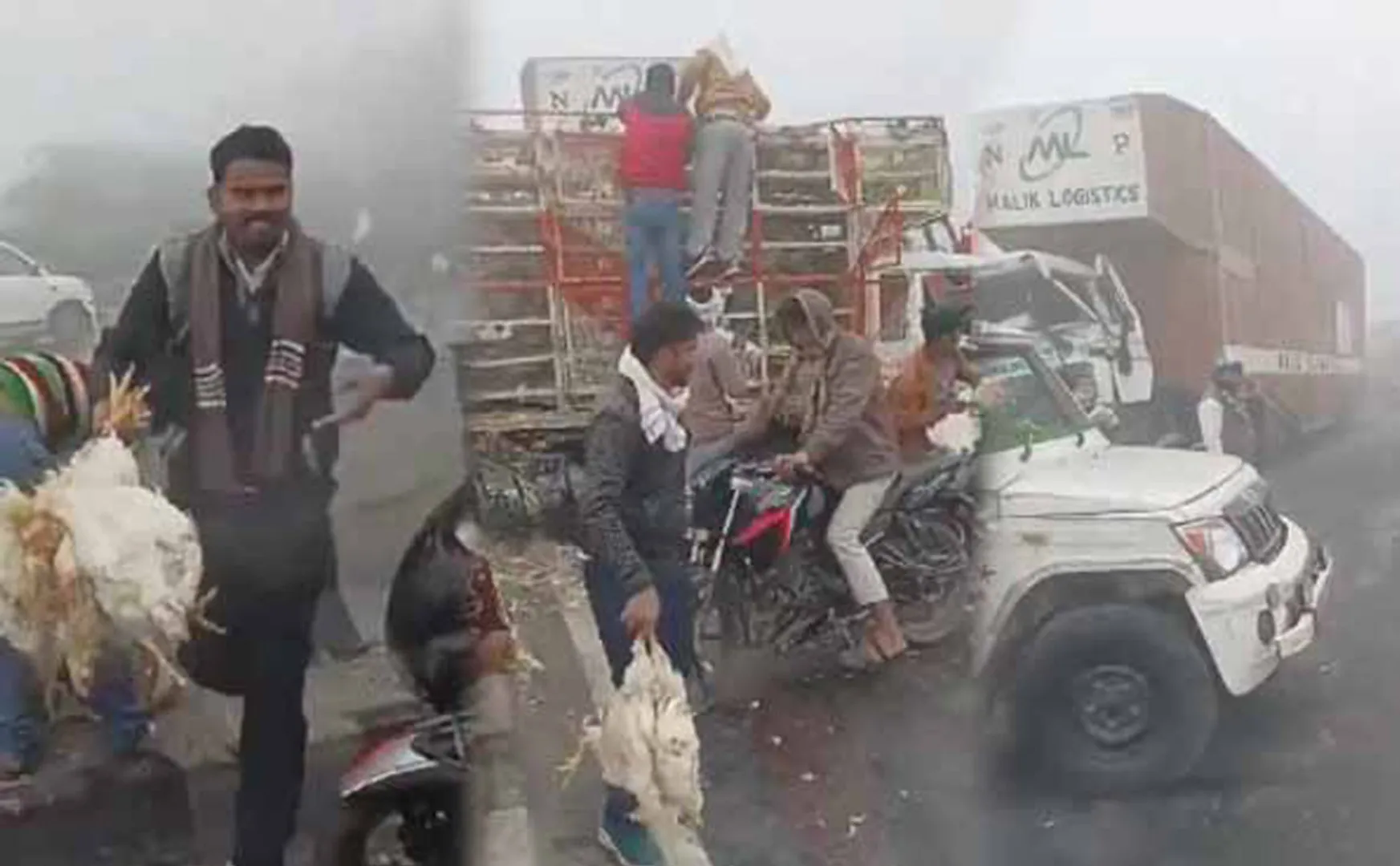 People carrying chickens during a road accident