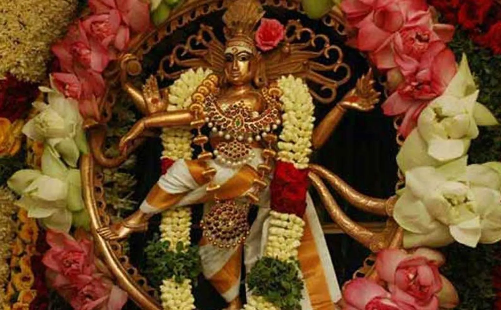 Arudra Darshan in chidambaram; Pilgrims of devotees