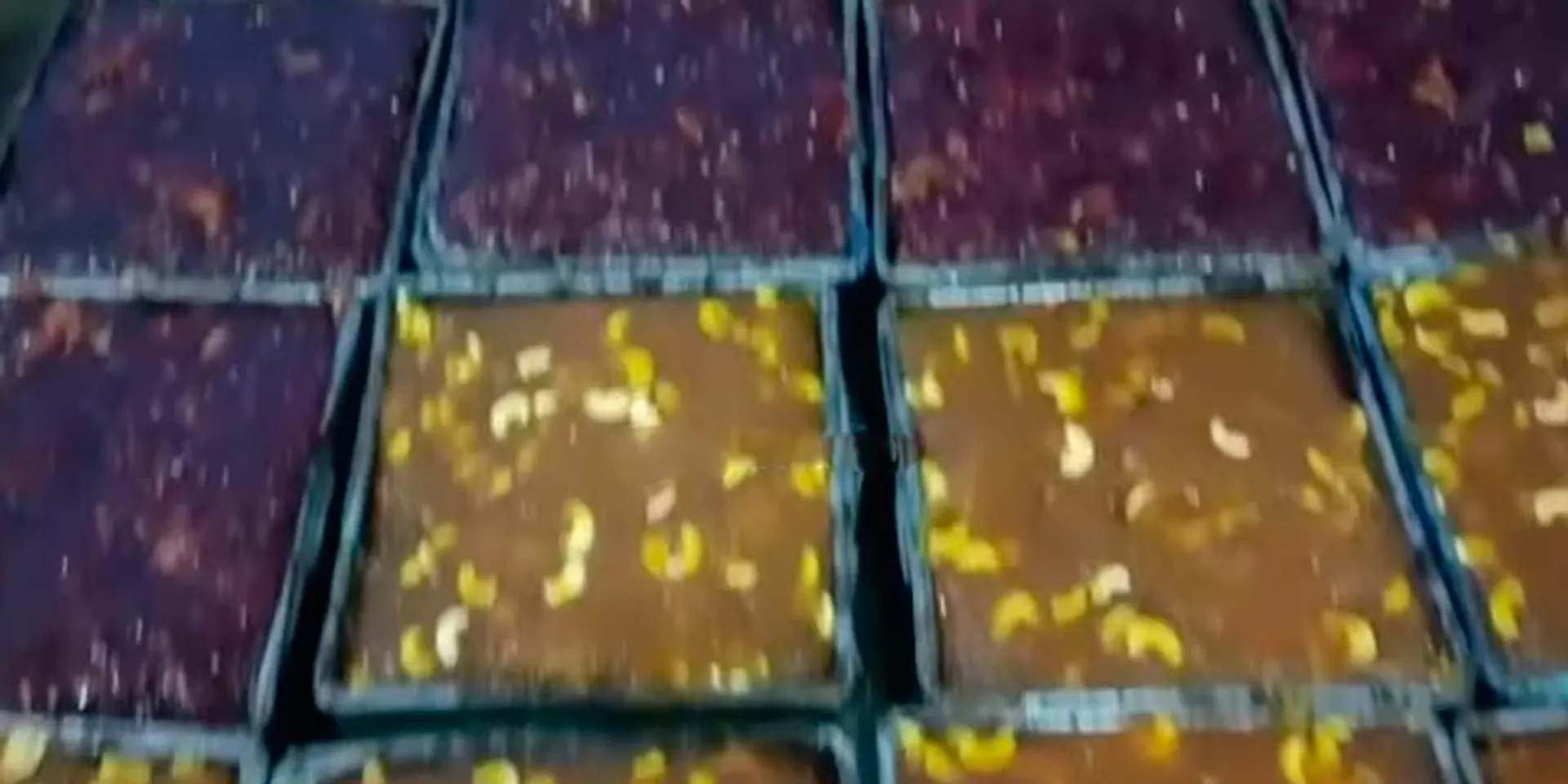 Sabarimala devotees are the target; 4,000 kg mascot alva seized