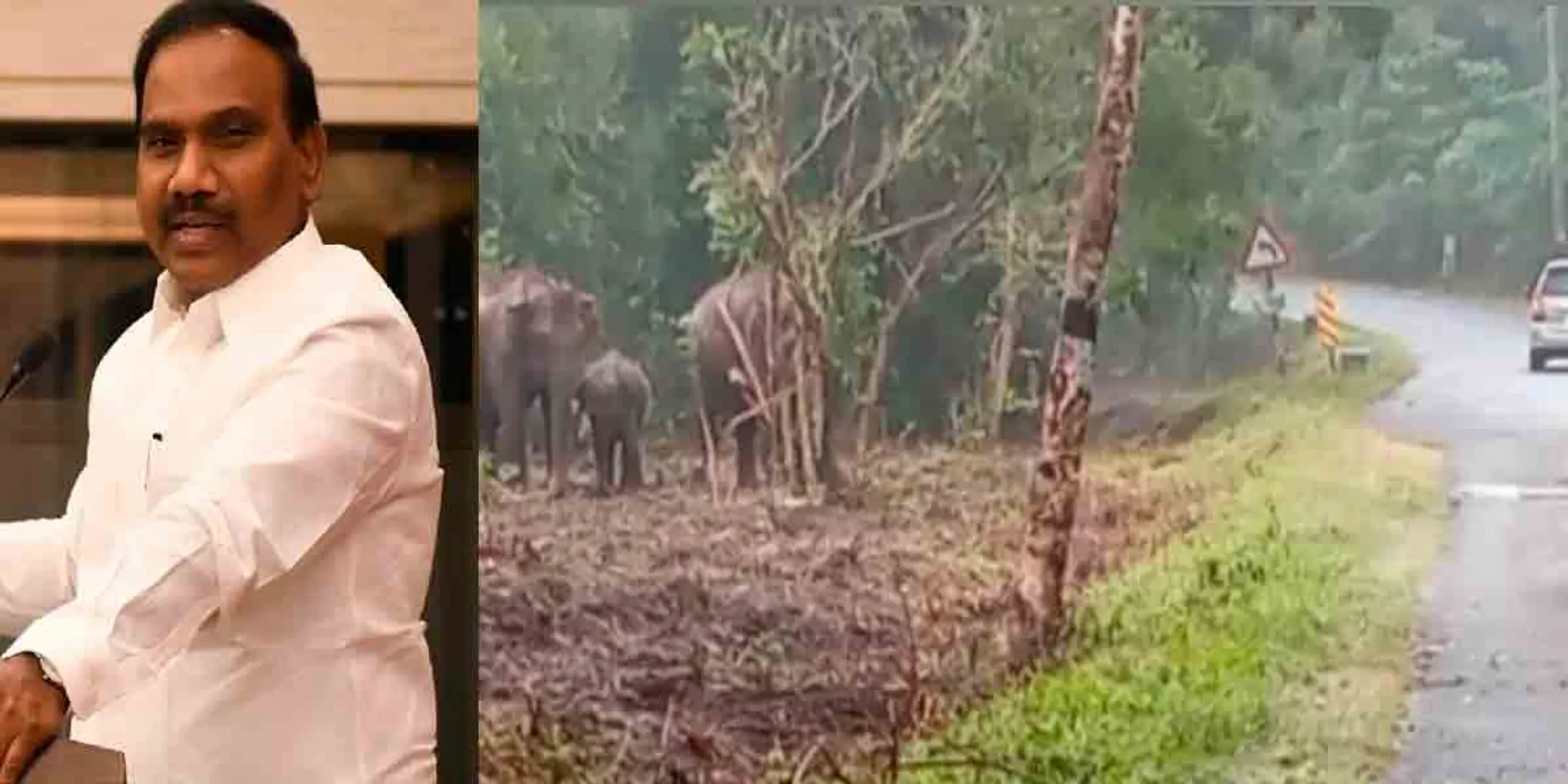 elephants blocked the vehicle of A.Rasa MP