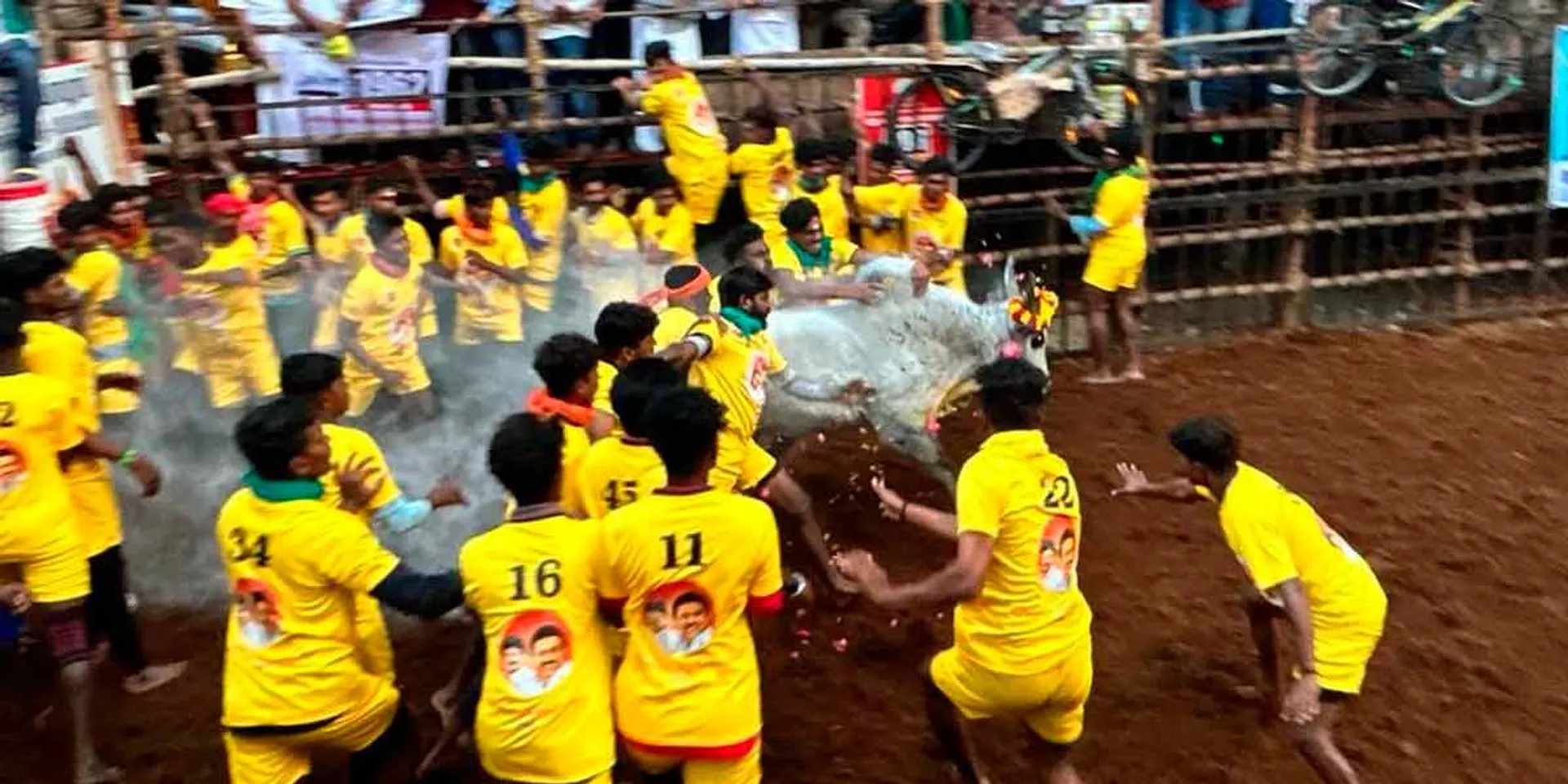  Avaniyapuram Jallikattu 10th round draw; Who wins?