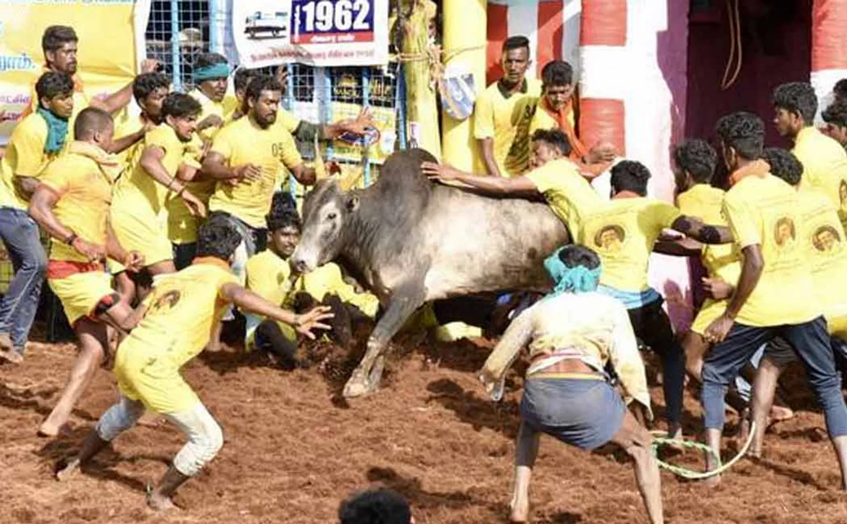 Palamedu Jallikattu started