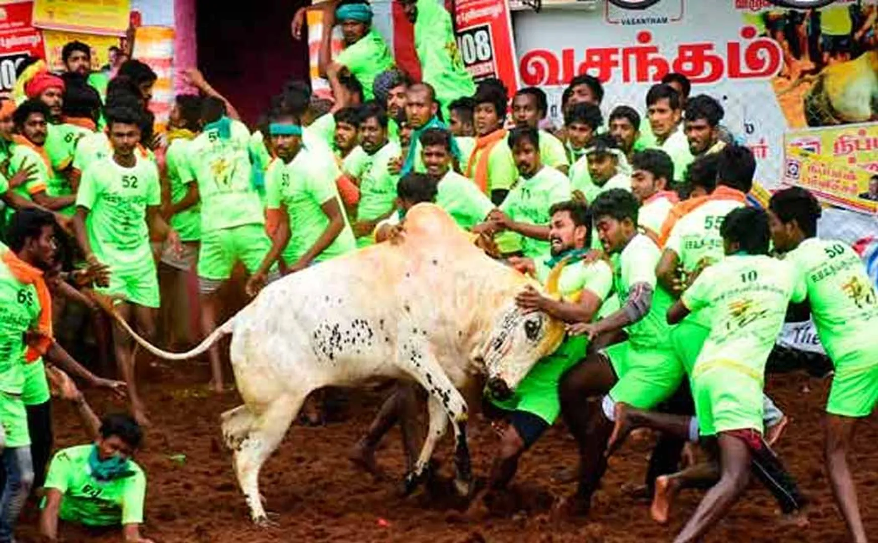 New Jallikattu Stadium; Opening on January 24