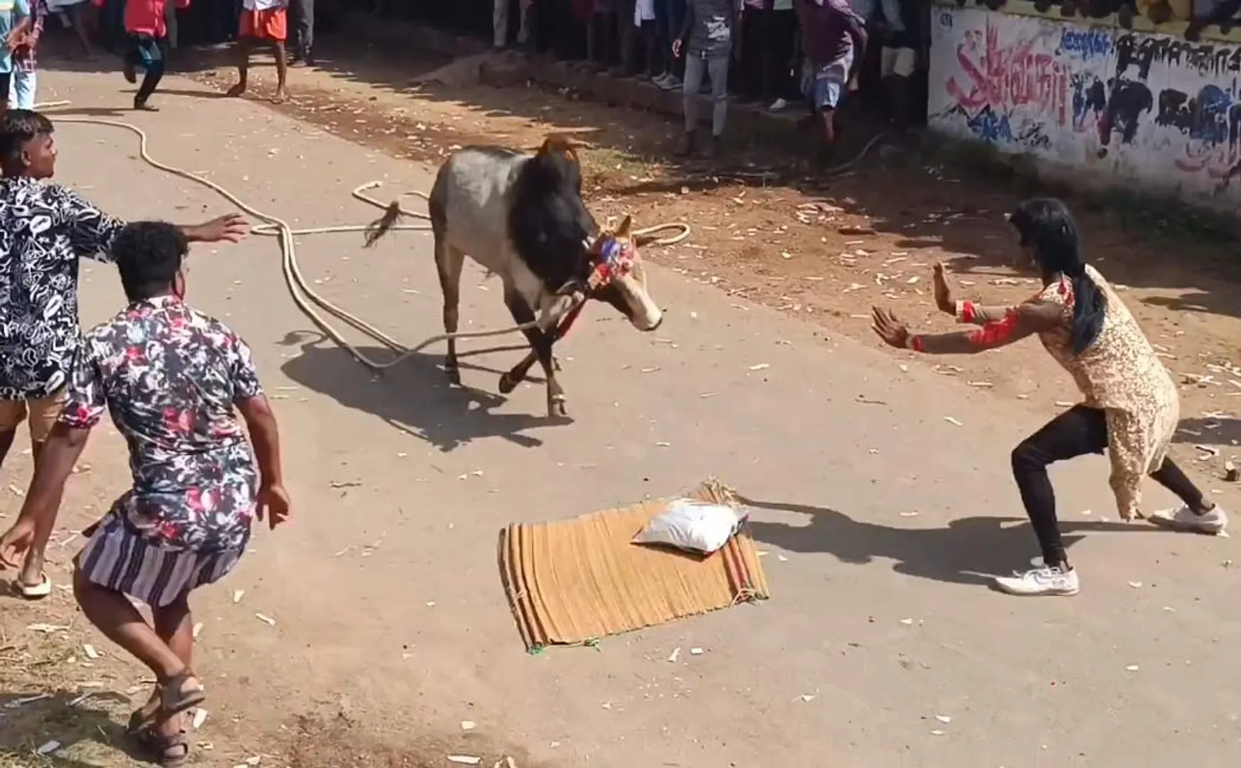  youth committed the atrocities by lying on a mat on the bull track