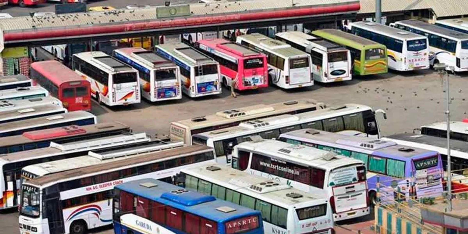  'Criminal law will flow'- warning to omni buses