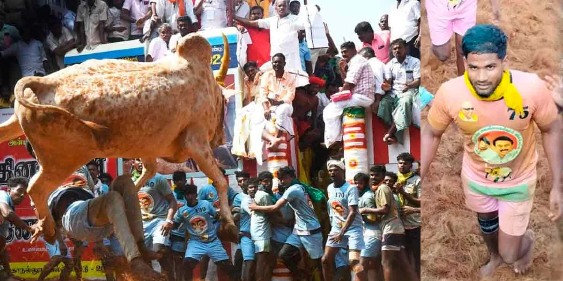 Completion of lower bank jallikattu; Abhi Siddhar topper