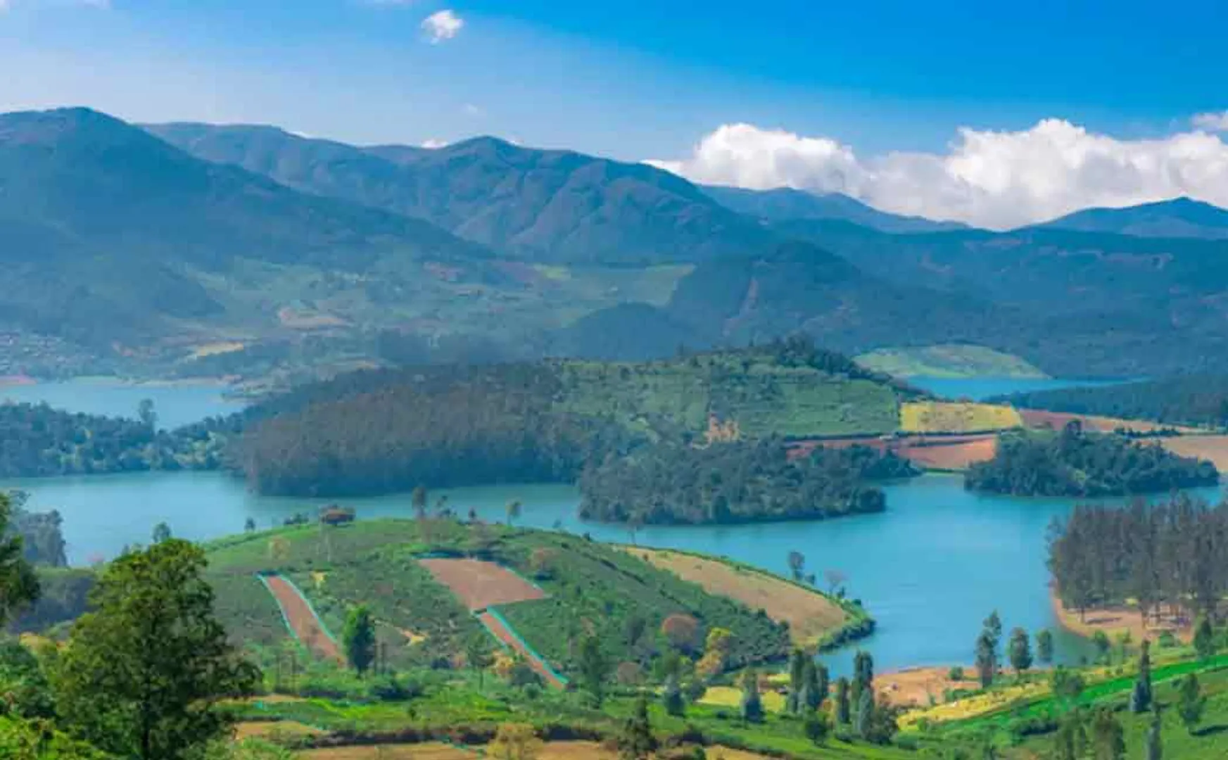 '0' degree Celsius temperature record in Nilgiris