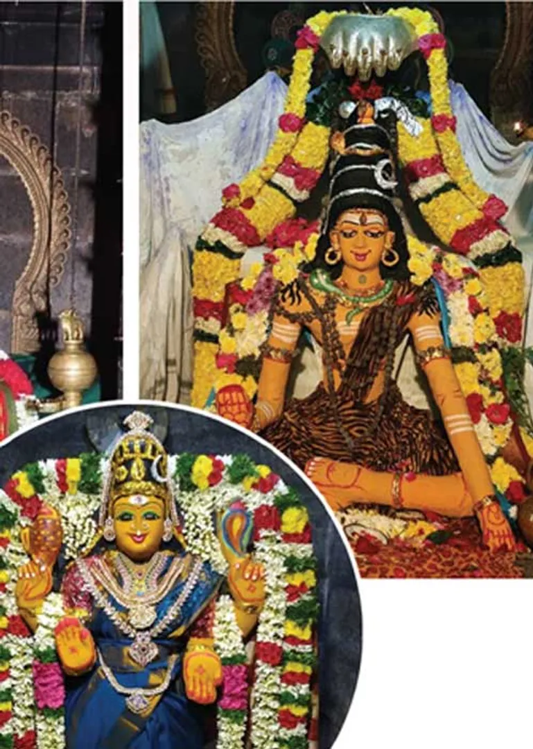 /idhalgal/om/sanctuary-blessed-by-lord-shiva-s-kalaivani