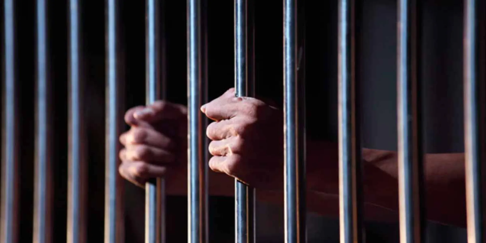 12 prisoners released on Anna's birthday