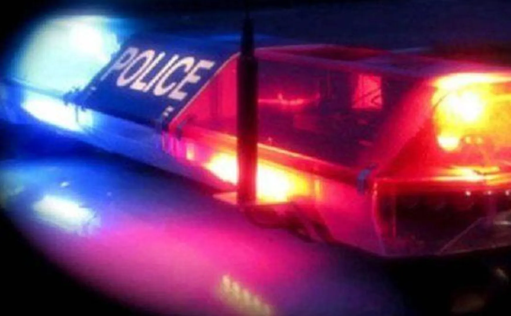 person who bought the dog and returned it after a month was stabbed