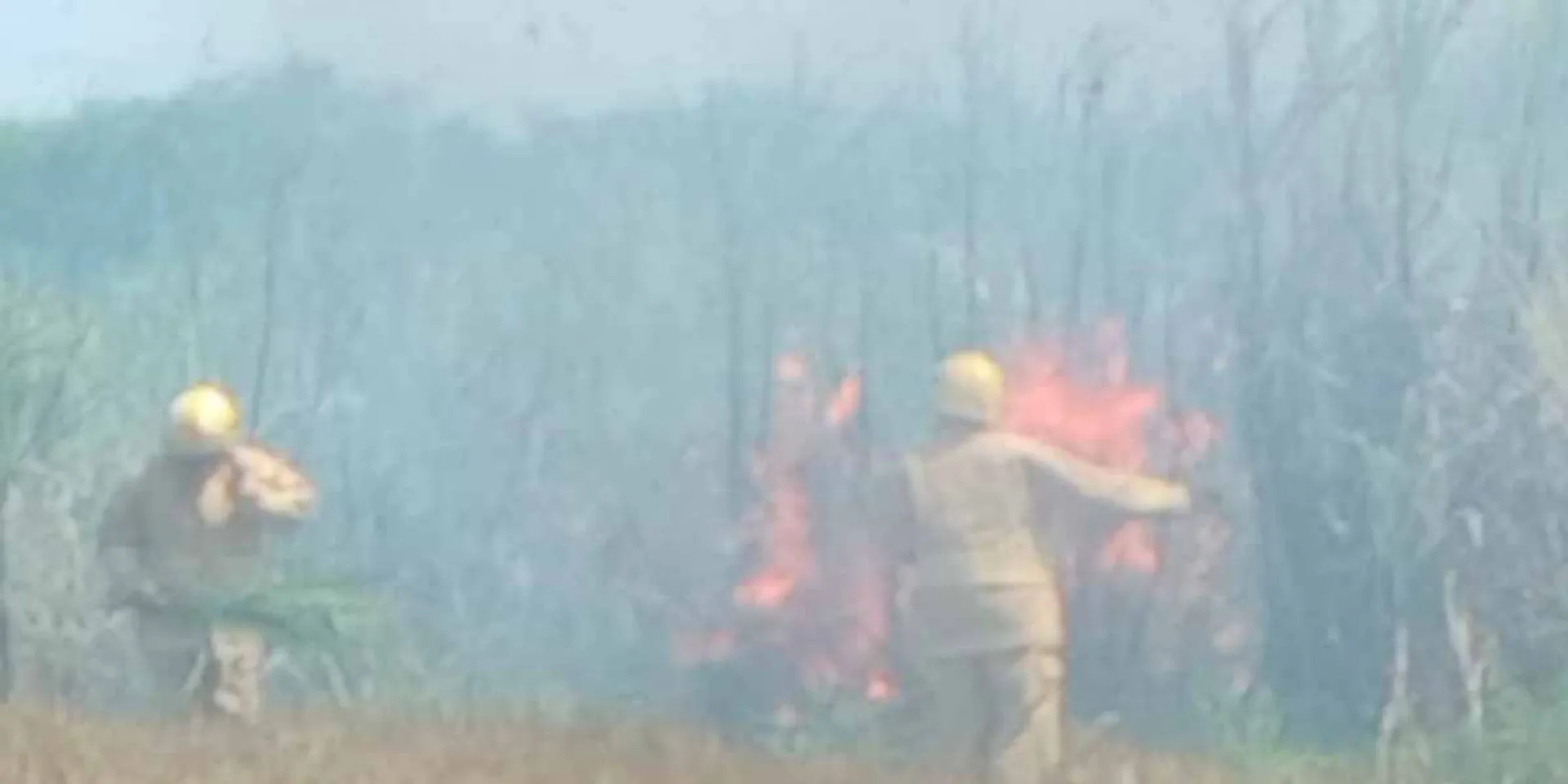 10 acres of sugarcane burned and damaged near Srimushnam