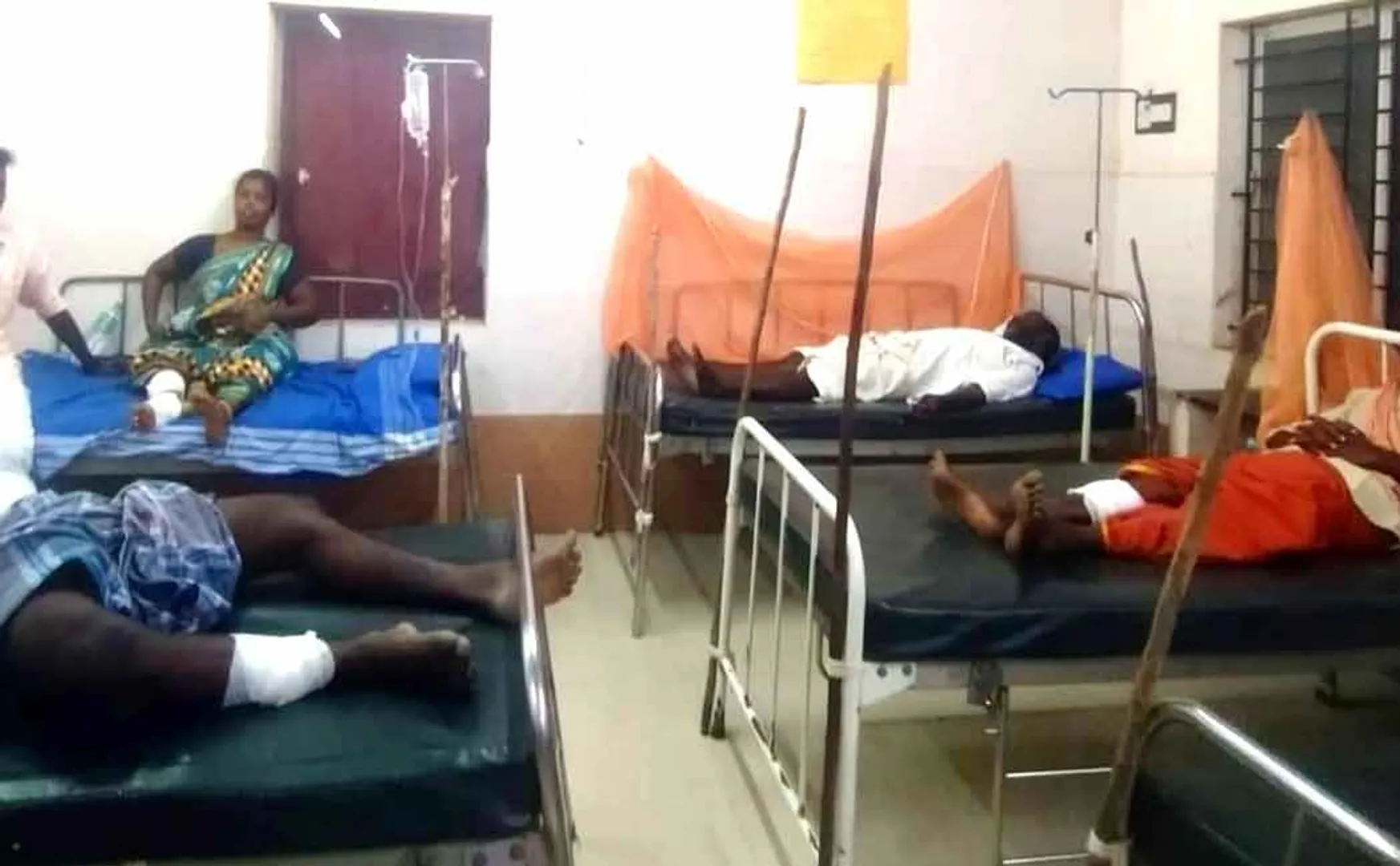 17 people were bitten by rabid dogs in Pudukkottai